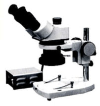  Correct Stereo Zoom Microscope (Korrigieren Stereo-Zoom-Mikroskop)