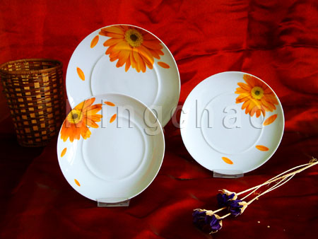 Porcelain Dinnerware (Porzellan Geschirr)
