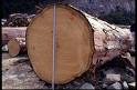  Hinoki Wood Log (Hinoki Holz Anmelden)