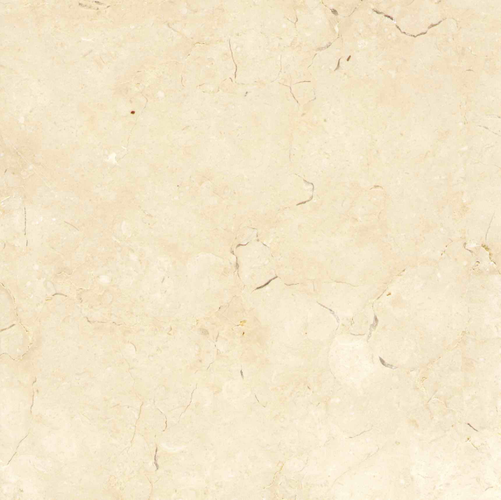 Golden Cream