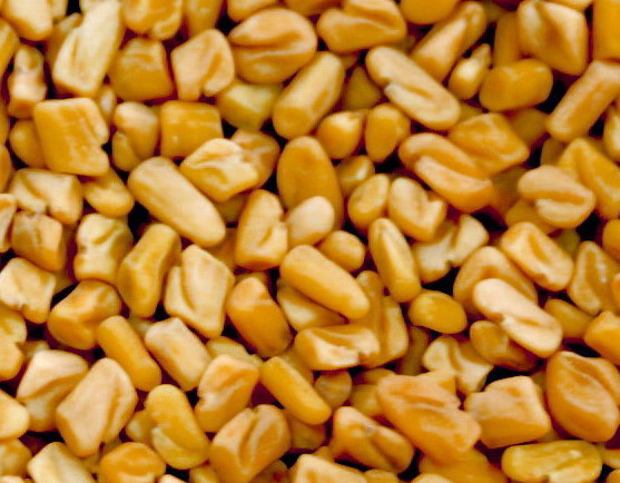  Fenugreek Seeds ( Fenugreek Seeds)