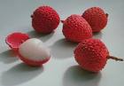  Litchi