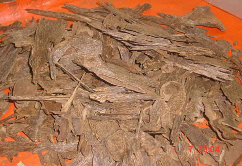  Malaysian Agar Wood ( Malaysian Agar Wood)