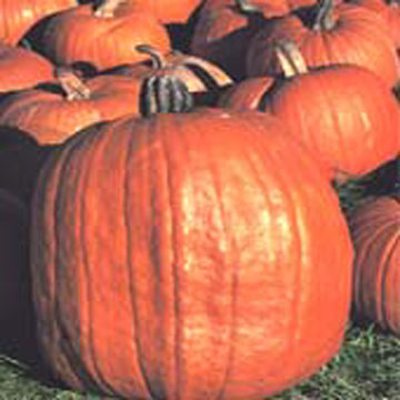  Pumpkin Seed Oil ( Pumpkin Seed Oil)