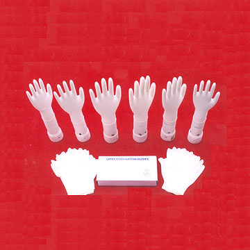 Examination Gloves