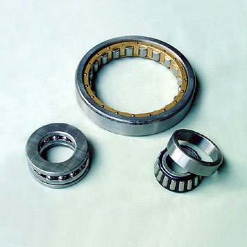  Other Types of Bearings ( Other Types of Bearings)
