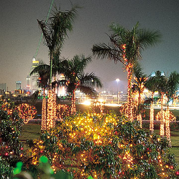 Twinkle Lights, Christmas Lights, Star Beleuchtung (Twinkle Lights, Christmas Lights, Star Beleuchtung)