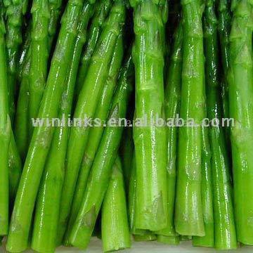  Frozen IQF Green Asparagus (Frozen IQF grüner Spargel)