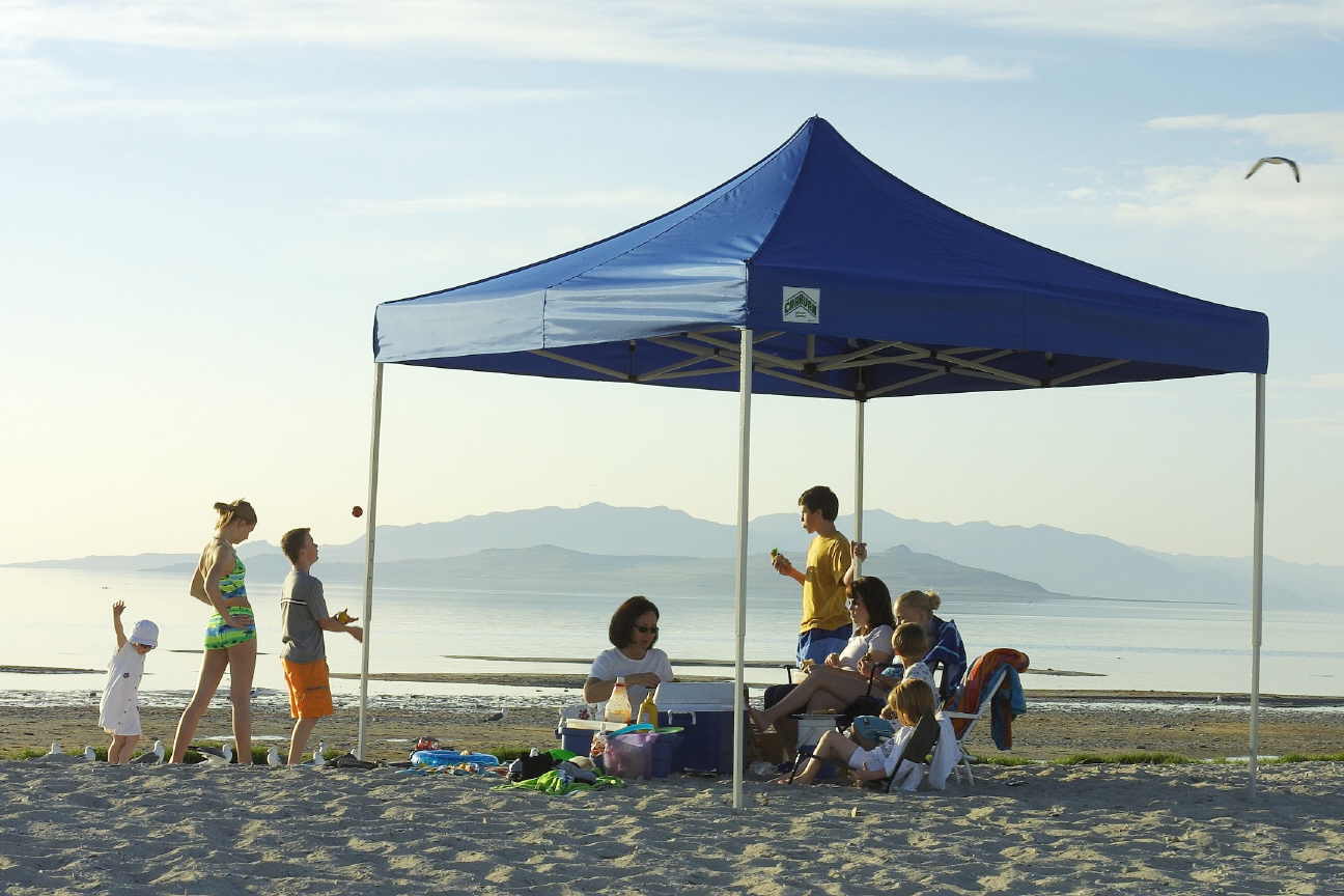 Instant Canopy, Instant Shade (Instant Canopy, Instant Shade)