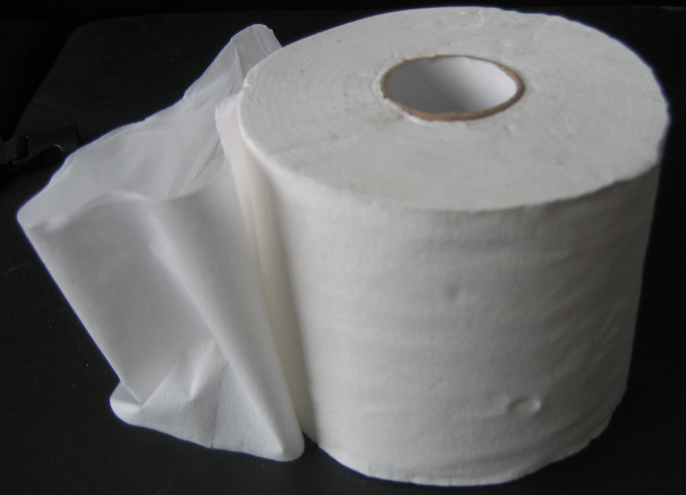 Recycled Toilet Paper (Papier toilette recyclé)