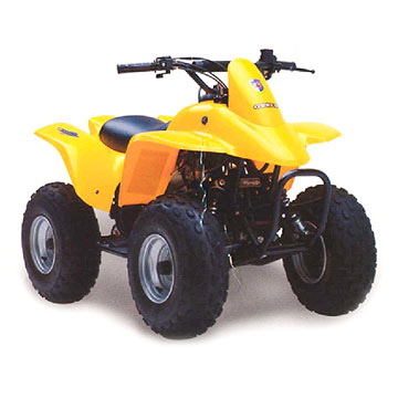  ATV (100cc) ( ATV (100cc))