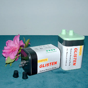  Zinc-Manganese Dry Battery
