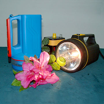  Zinc-Manganese Dry Battery