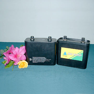  Zinc-Manganese Dry Battery