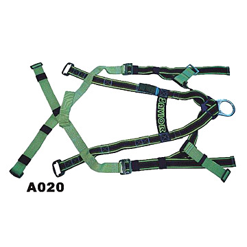  Safety Belt