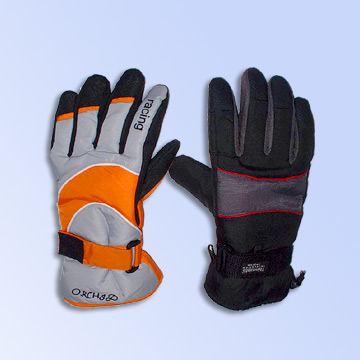  Ski Gloves (Les gants de ski)