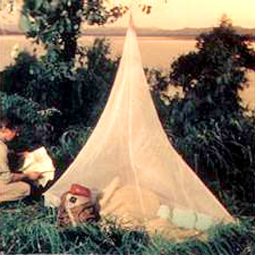  Mosquito Net ( Mosquito Net)