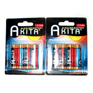  AA Alkaline Batteries (Piles alcalines AA)