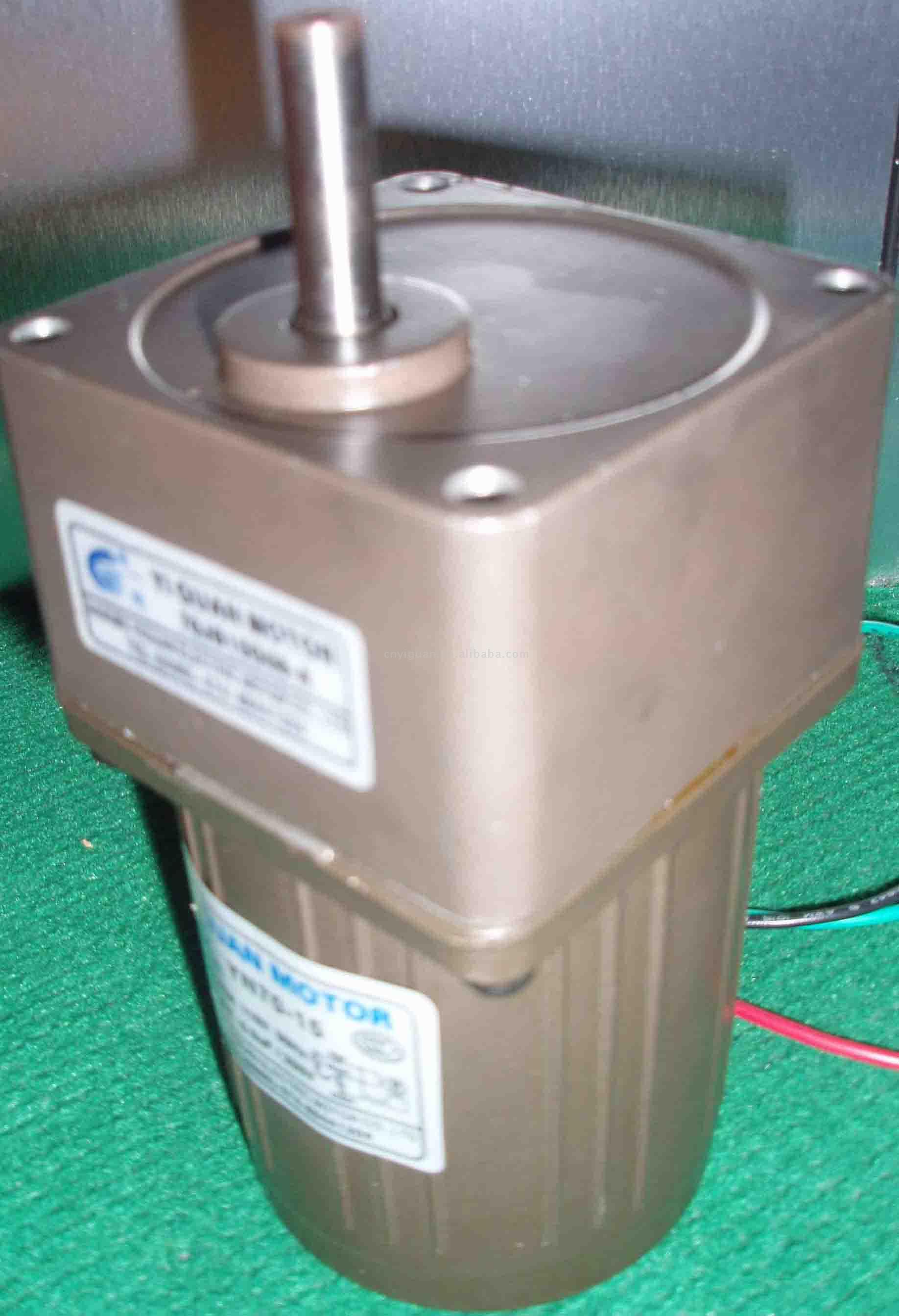  AC Gear Motor ( AC Gear Motor)