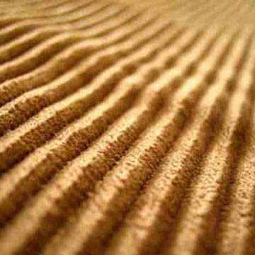  Corduroy Suede ( Corduroy Suede)