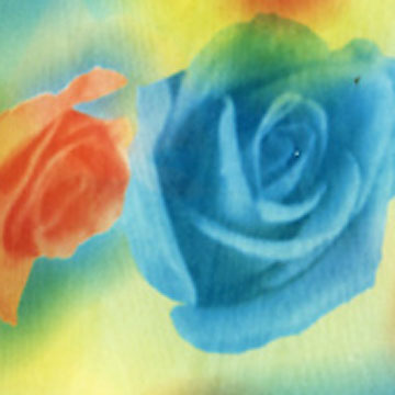  Georgette ( Georgette)