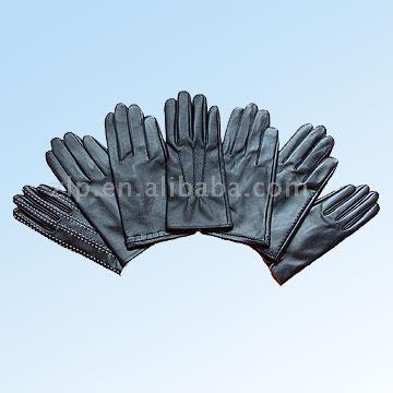  Leather Gloves(Sheep/Goat) ( Leather Gloves(Sheep/Goat))