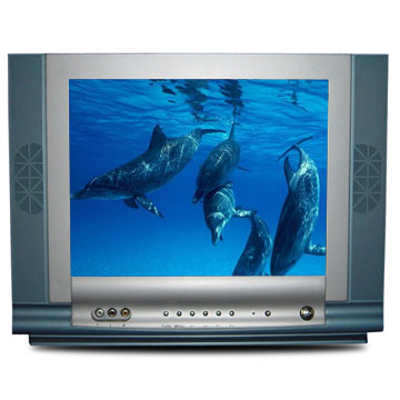  CTV-1411-2911 (CTV 411 911)