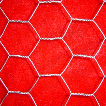  Hexagonal Wire Mesh (Hexagonal Wire Mesh)