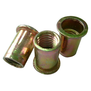  Flat Head Rivet Insert