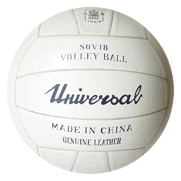  Volleyball (Volleyball)