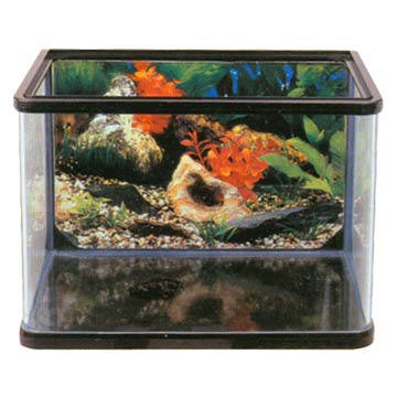  Mini Tank (Mini-Tank)