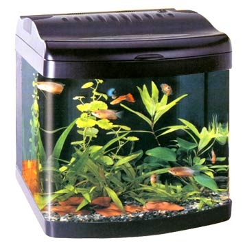  Mini Tank (Mini-Tank)