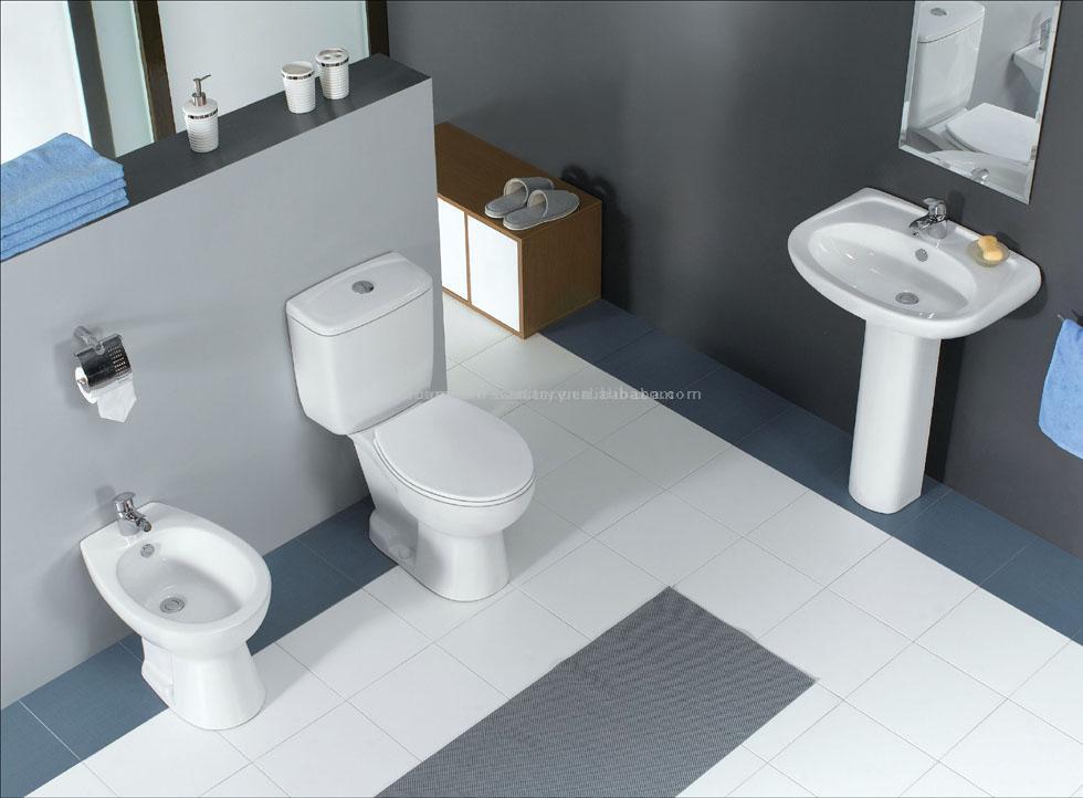  P-Trap Toilet---Economic model (P-Trap Toilettes --- Modèle économique)