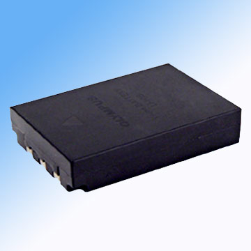  Digital Camera Battery R-S10B (Digital Camera Battery R-S10B)