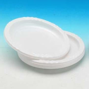  Plastic Plate (Пластиковые плиты)