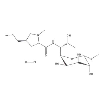  Lincomycin HCl (Chlorhydrate de lincomycine)