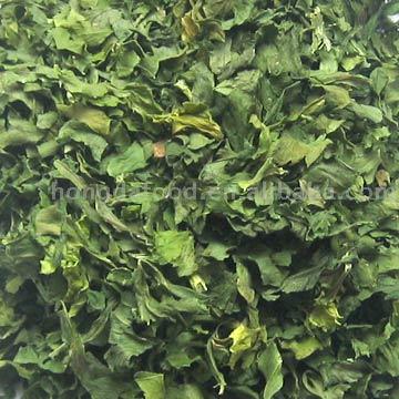  Dehydrated Celery Leaves ( Dehydrated Celery Leaves)