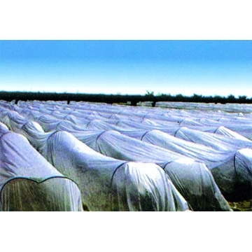  Spun-Bonded Non-Woven Fabric ( Spun-Bonded Non-Woven Fabric)