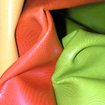  Shoe and Bag Leather (Schuh-und Leder-Bag)