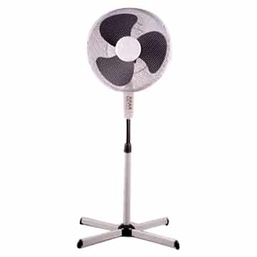 Stehend Fan (Stehend Fan)