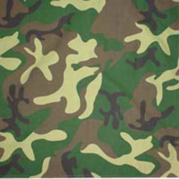  Bandanna