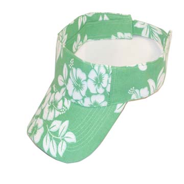  Sun Visor (Sun Visor)