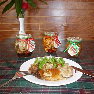  Italian or Russian Flavored Mushrooms Assortment (Italienisch oder Russisch Flavored Pilze Sortiment)