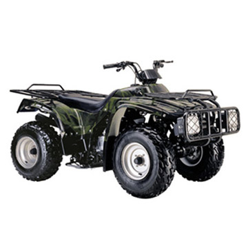  250cc ATV (250cc ATV)