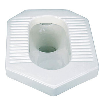  Squat Toilet