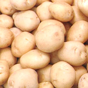  Potato (Картофель)