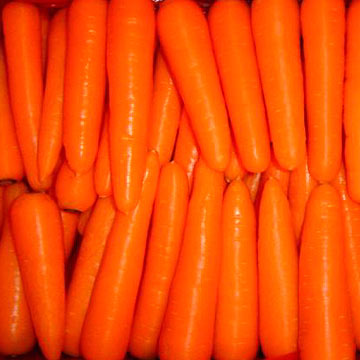  Carrot (Carotte)