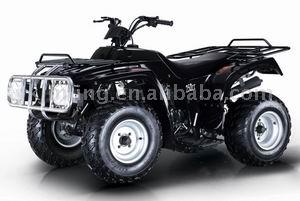 200cc / 250cc ATV / Quad (200cc / 250cc ATV / Quad)