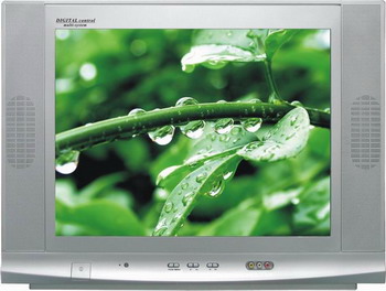 Farbfernseher (Farbfernseher)
