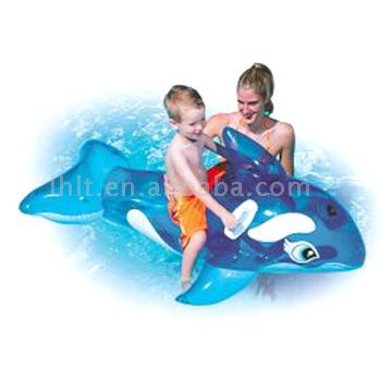  Dolphin Rider ( Dolphin Rider)
